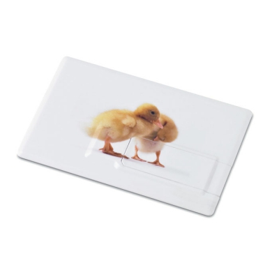 Creditcard. usb flash 16gb     mo1059-06