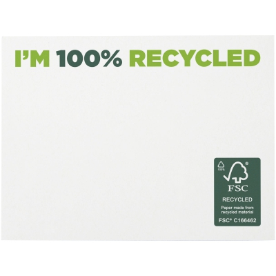 Karteczki samoprzylepne z recyklingu o wymiarach 100 x 75 mm Sticky-Mate®