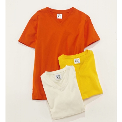 T-shirt v-neck