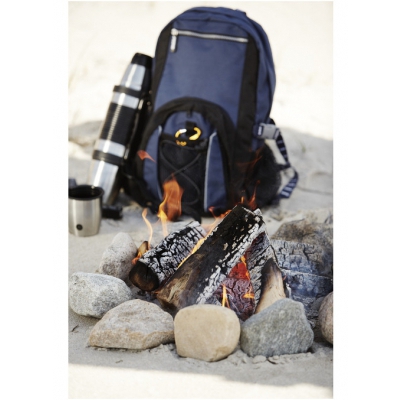 Silverline daypack