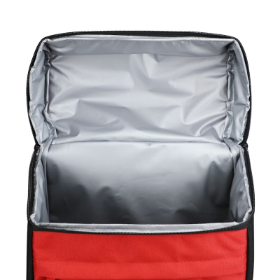 Cooler backpack