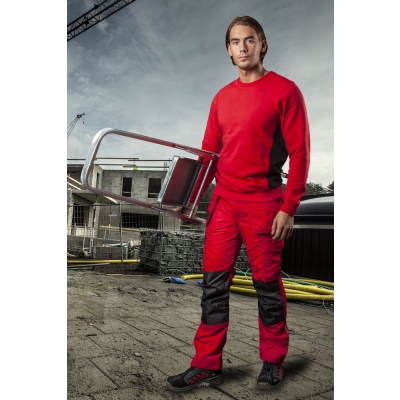 5531 spodnie do pasa
