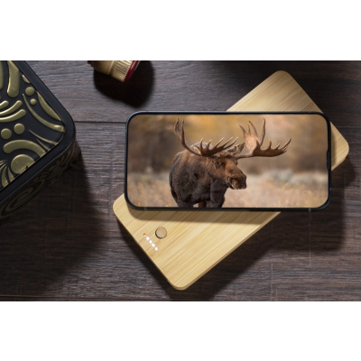 Power bank BORRA 10000 mAh
