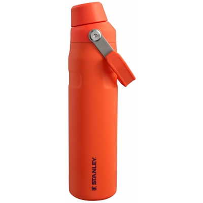 Butelka Stanley Aerolight IceFlow Water Bottle Fast Flow 0,6L