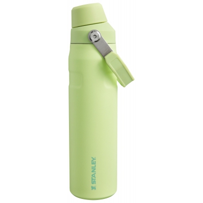 Butelka Stanley Aerolight IceFlow Water Bottle Fast Flow 0,6L